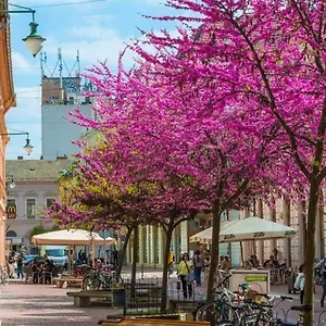 Downtown Dream Apartmans Seghedin